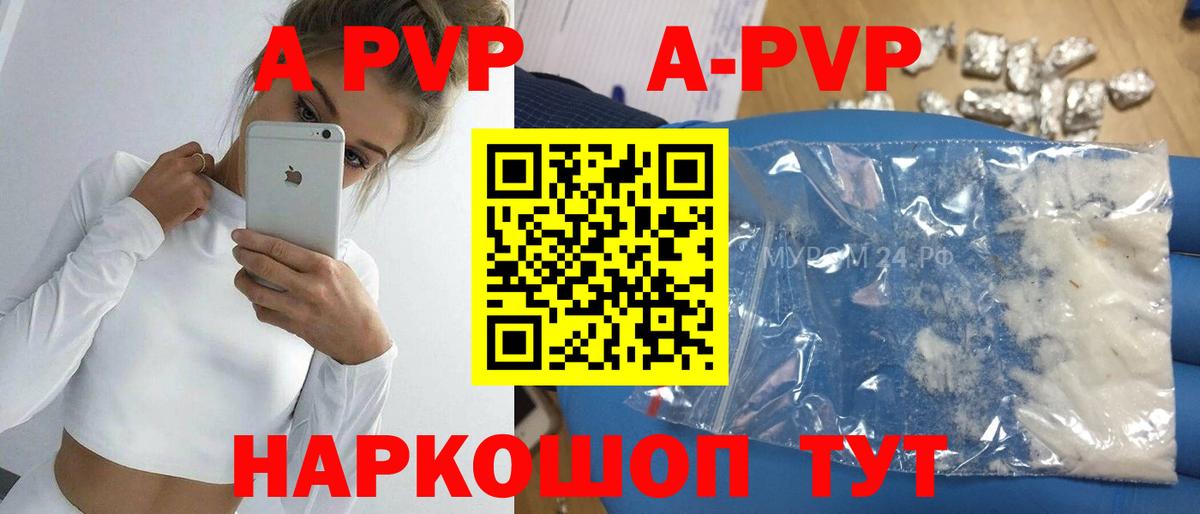А ПВП крисы CK  Вход с VPN  A-PVP СК  Соликамск 