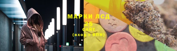 ГАЛЛЮЦИНОГЕННЫЕ ГРИБЫ Осинники