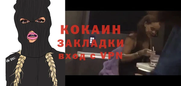 ГАЛЛЮЦИНОГЕННЫЕ ГРИБЫ Осинники