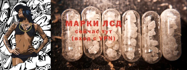 ГАЛЛЮЦИНОГЕННЫЕ ГРИБЫ Осинники
