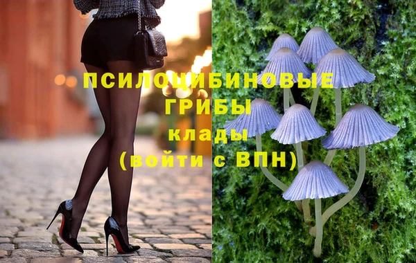 ГАЛЛЮЦИНОГЕННЫЕ ГРИБЫ Осинники