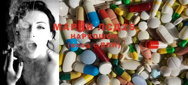 ГАЛЛЮЦИНОГЕННЫЕ ГРИБЫ Осинники