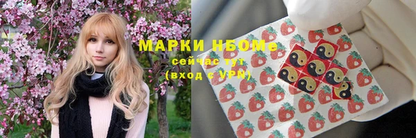 ГАЛЛЮЦИНОГЕННЫЕ ГРИБЫ Осинники