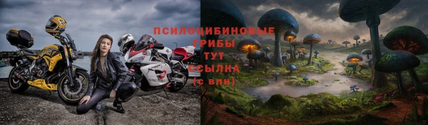 ГАЛЛЮЦИНОГЕННЫЕ ГРИБЫ Осинники