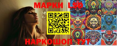 стаф Нальчик