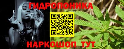 стаф Нальчик